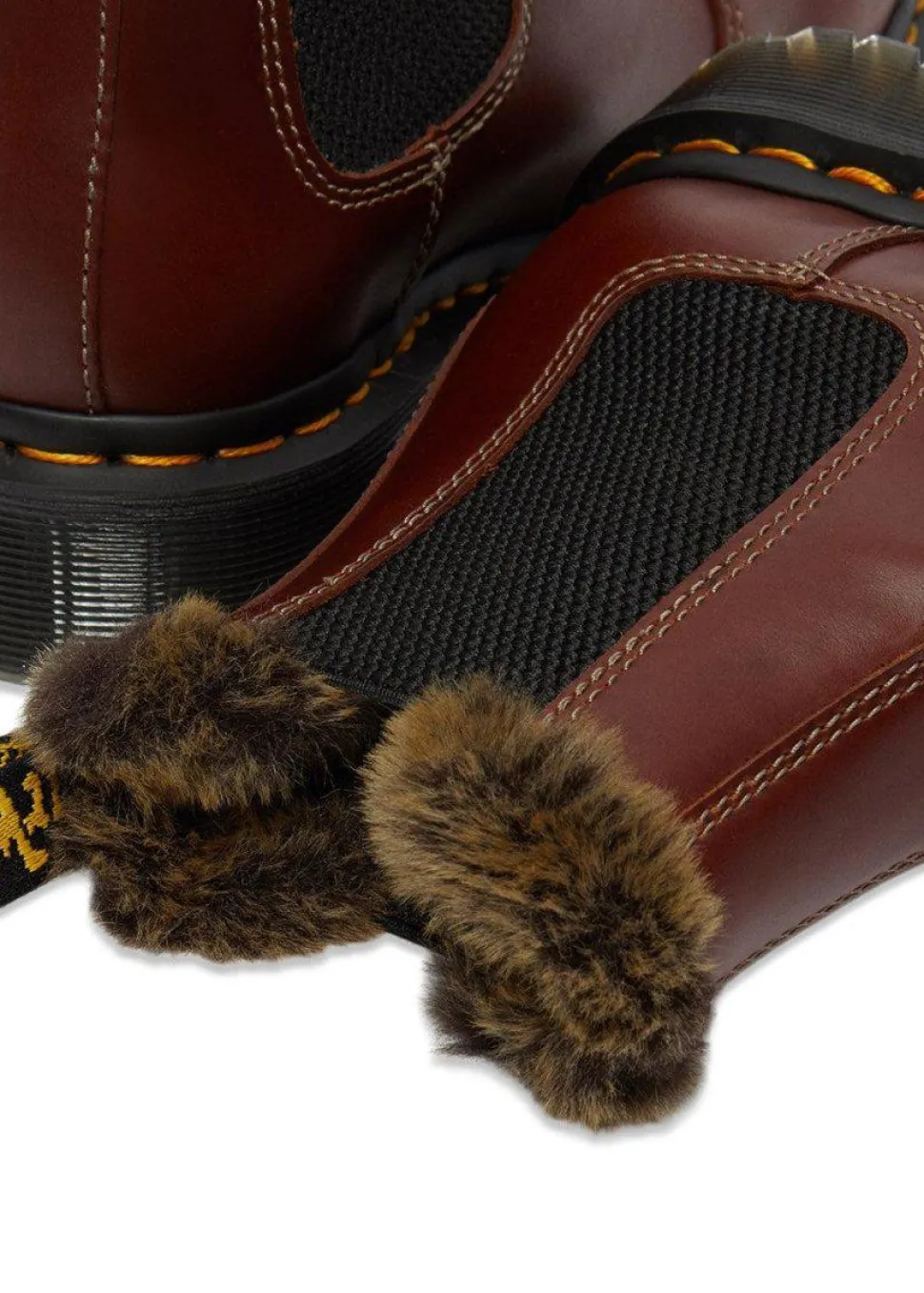 2976 Leonore Brown Abruzzo Wp