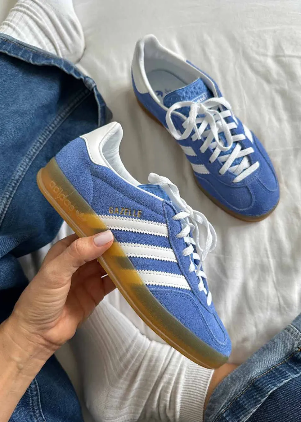 GAZELLE INDOOR