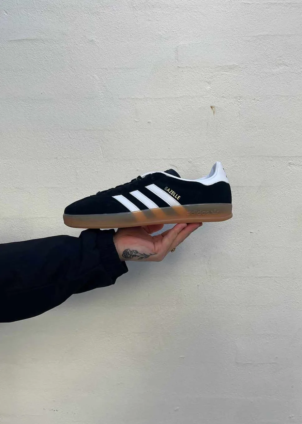 GAZELLE INDOOR