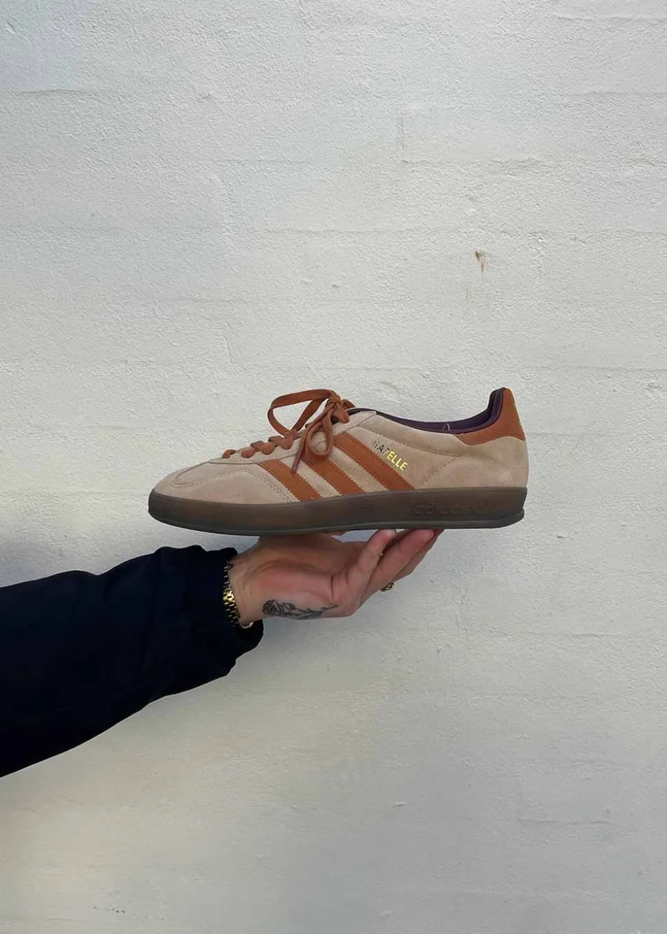 GAZELLE INDOOR