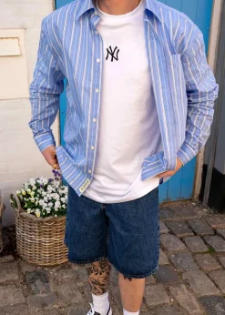 New York Yankees MLB League Essential