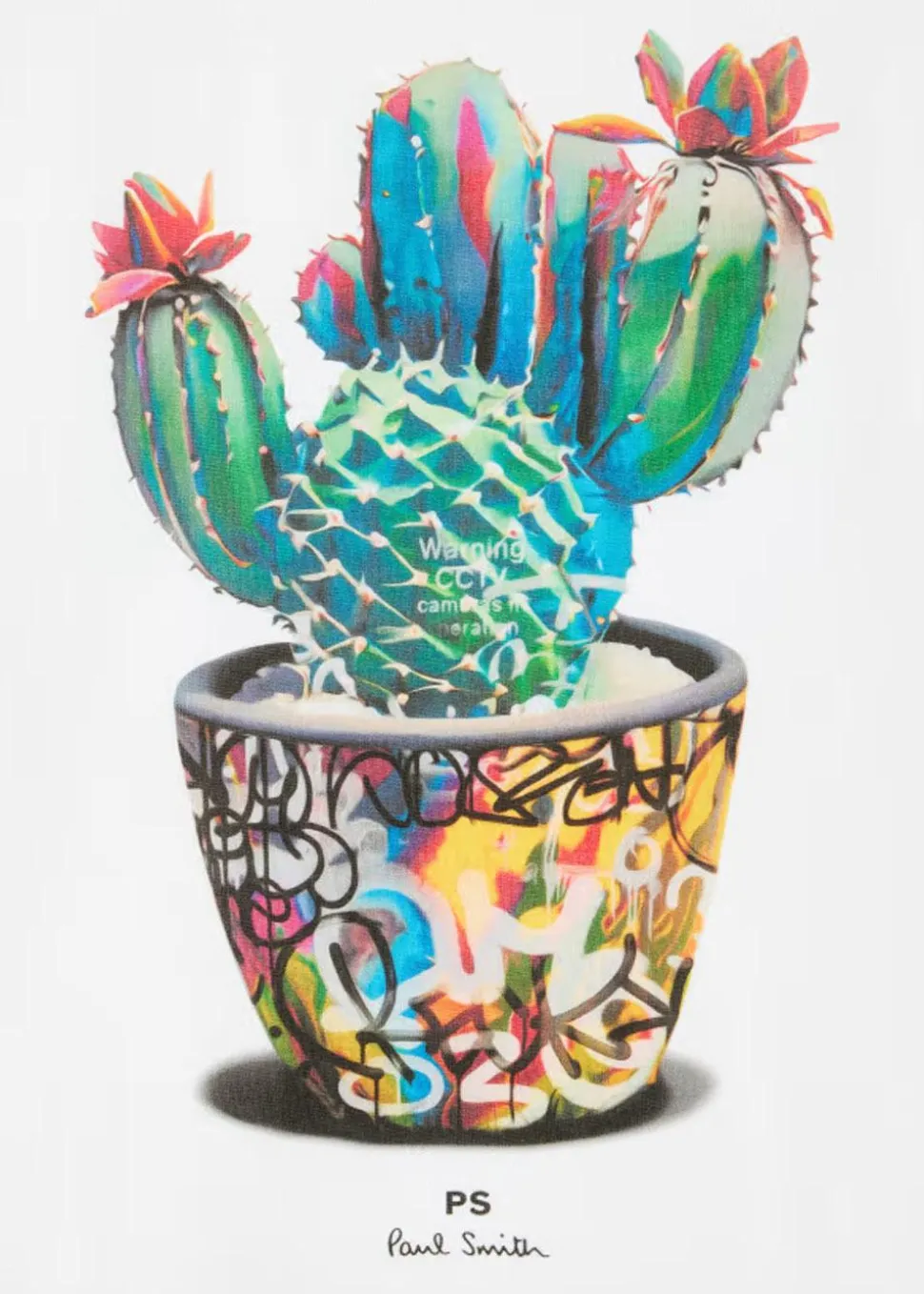 Reg Fit T-Shirt Cactus